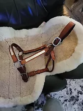 Champion Turf Leather Show Halter with Entry Level Silver Mare Horse Size