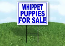 whippets for sale