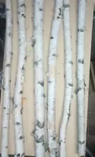 6 Natural White Birch Poles 4 ft long. Use for decoration, crafts and weddings.