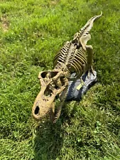 MODEL T Rex Tyrannosaurus Rex Dinosaur Skeleton Model Fossil Dino Toy Model