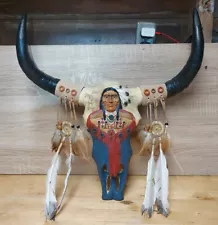 Vintage Native American Western Painted Bull Buffalo Horns Skull Catcher Decor