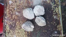 Geodes whole / uncut