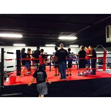 Boxing Ring For Sale - Lightly Used 22' X 22'