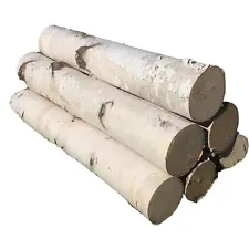 White Birch Log Set for Fireplace 18"