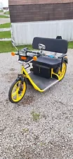 Palmer 2 Seater Electric Tricycle