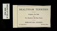 1921 Sealyham Terriers Puppies for Sale Brookline MA Vintage Print Ad 13992