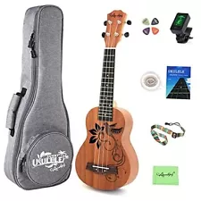 Cartoon 21 inch Soprano Ukulele Sapele Small Hawaiian Guitar Set with Bird