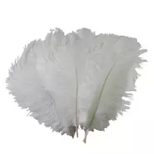 24 pcs 24-26" long Genuine Ostrich FEATHERS for Wedding Party Centerpieces SALE