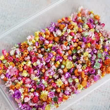 1420Pc Pressed Real Dried Flowers Leaves For Epoxy Resin Jewelry Making Nail DIY