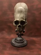 real human skull for sale ebay