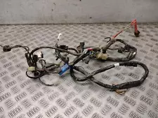 2010 YAMAHA BIG BEAR 400 4X4 Wiring Harness