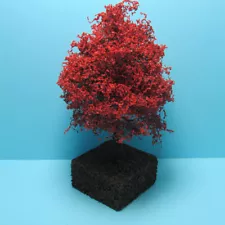 Dollhouse Miniature Beautiful Outdoor 4" Japanese Maple Landscape Tree CA1534