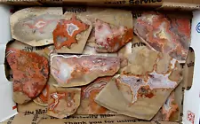 16 Ounces (1 Pound) TeePee Canyon Agate Slabs Black Hills Tumble or Cab