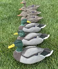 Fully Flocked Custom Dakota Mallard Duck Floating Decoys HYPER REALISTIC!