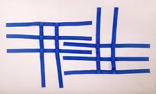 Yamaha Raptor 250 Quad ATV Nerf Bar Nets Webbing Blue See Description For Size