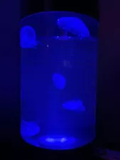 Jellyfish Art Cylinder 5 (Gen 2) 5 Gallon Aquarium