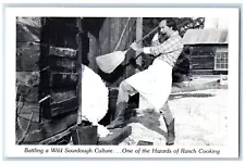 Battling Sourdough Culture Man Hazards Of Ranch Cooking Humor Vintage Postcard