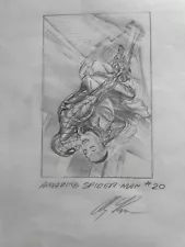 Alex Ross Spiderman & Gwen Illustration with Signature