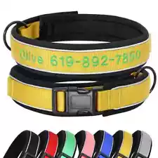 large dog collars for sale