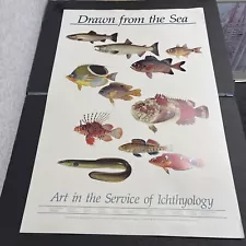 vintage POSTER large fish ART OF ICHTHYOLOGY Smithsonian NATURAL HISTORY MUSEUM