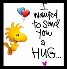 I Wanted To Send You A Hug Woodstock Snoopy Love Best Friends Dog House MAGNET