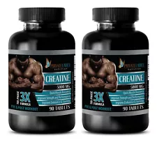 muscle building supplements for men - CREATINE TRI-PHASE 2B - creatine monohydra