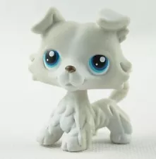 Littlest Pet Shop Toys Light Grey Blue Eyes Collection Collie Dog LPS #363