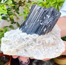 4.76LB Large Top natural black tourmaline quartz crystal mineral specimen.