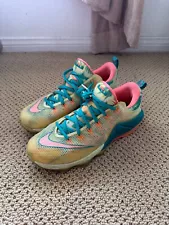 Size 11 - Nike LeBron 12 PRM EP Low LeBronold Palmer - low top