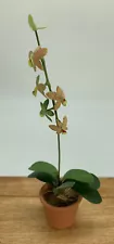 Miniature Artisan Rigid Erira Orchid Dollhouse Emerald City Plants