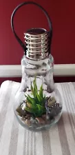 SOLAR GLASS BULB TERRARIUM LED NIGHT LIGHT INDOOR OUTDOOR FAUX SUCCULENT NEW