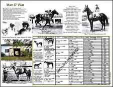 Man O' War picture pedigree 11 X 8.5 frameready Man O War Race Horse Memorabilia