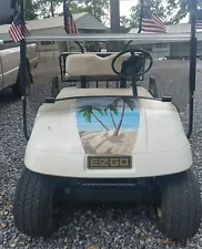custom painted golf cart bodies for sale