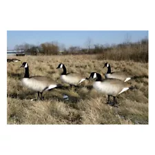 Big Foot BigFoot Canada Goose Decoys, 4-Pack