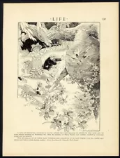 Perils of Picnic HARRISON CADY Cartoon 1908 Print YELLOW JACKETS Wasps