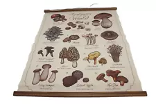 Earthbound Mushrooms Of The World 21x26" Wooden Dowels LINEN Wall Hanging Morel