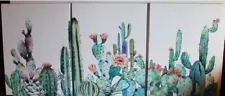 Set of 3 Cactus Succulents 16" x 12" Canvas Pictures Wall Art Set