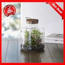 Clear Glass Terrarium Succulent Moss Miniature Gardens Container DIY Mini Garden