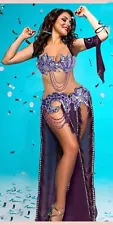 Professional Egyptian Belly Dance Costume Embroidered Diamonds Bra & Long Skirt