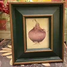 “ONION” Art Work~Two Toned Wood Framed~Vintage Inspired~French Country/Cottage~