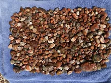 Lake Superior Agate 13 Pounds 7 Oz Lot