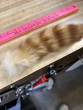 Tanned Raccoon Tail #2 Quality Small 8 to 11" SPECIAL DYED FOR FLY TYING ONLY