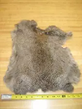 Tanned Rabbit Hide Fur Coats Crafts Trapping