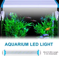 Aquarium 38cm 15in Fish for Freshwater Planted Tanks G3M6