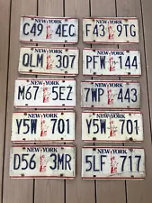 Lot of 10 Vintage Roadkill New York Liberty License Plates