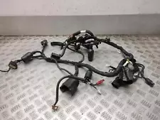 2019 ROYAL ENFIELD HIMALAYAN HIMALAYAN 411 Wiring Harness