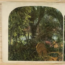 Pasadena California Ostrich Farm Stereoview c1905 Garden Ferns Lithograph H1410