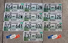 10 TENNESSEE GRAPHIC MEMPHIS KNOXVILLE LICENSE PLATES TAGS BULK PRICE SET LOT