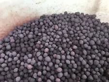 Taconite Iron Ore Pellets from Minnesota Iron Range 5 Pounds