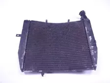 06 07 08 Triumph Daytona 675 Radiator (For: 2008 Triumph Daytona 675)